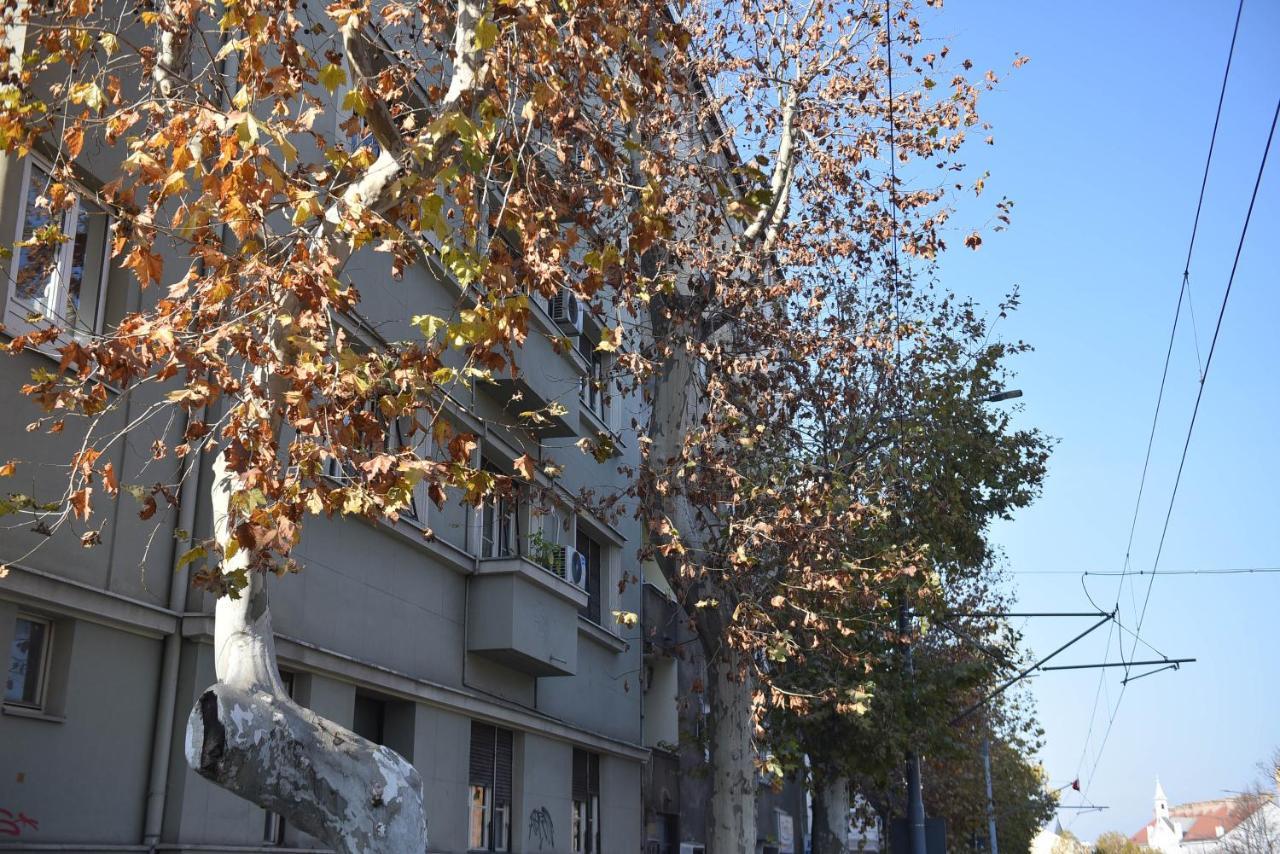 Friendly Home Apartment Beograd Ngoại thất bức ảnh